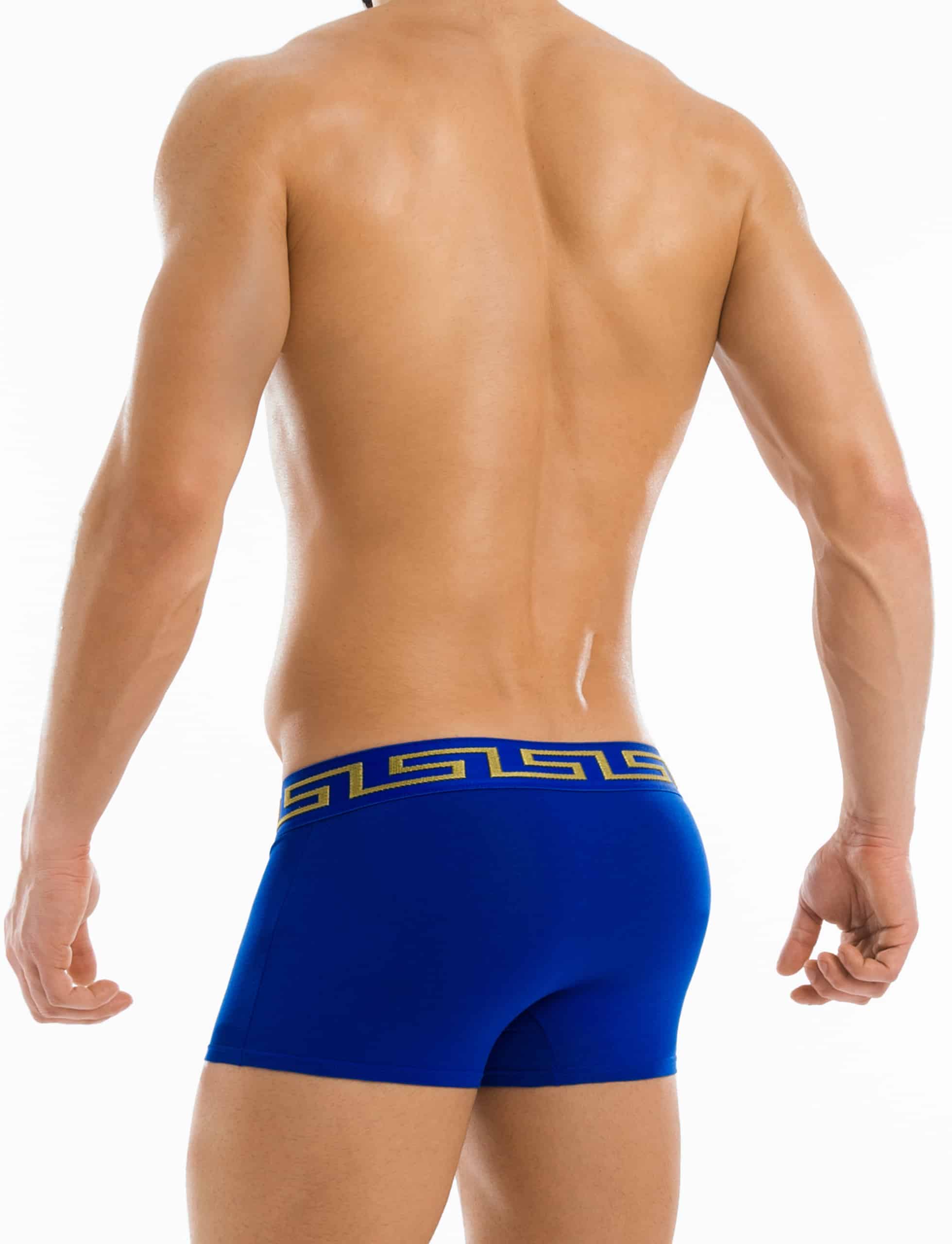 Modus Vivendi Meander Boxer. Made in Greece. Party wear. underwear party. Fetish gear. boxer briefs, trunks. pride wear. Blue