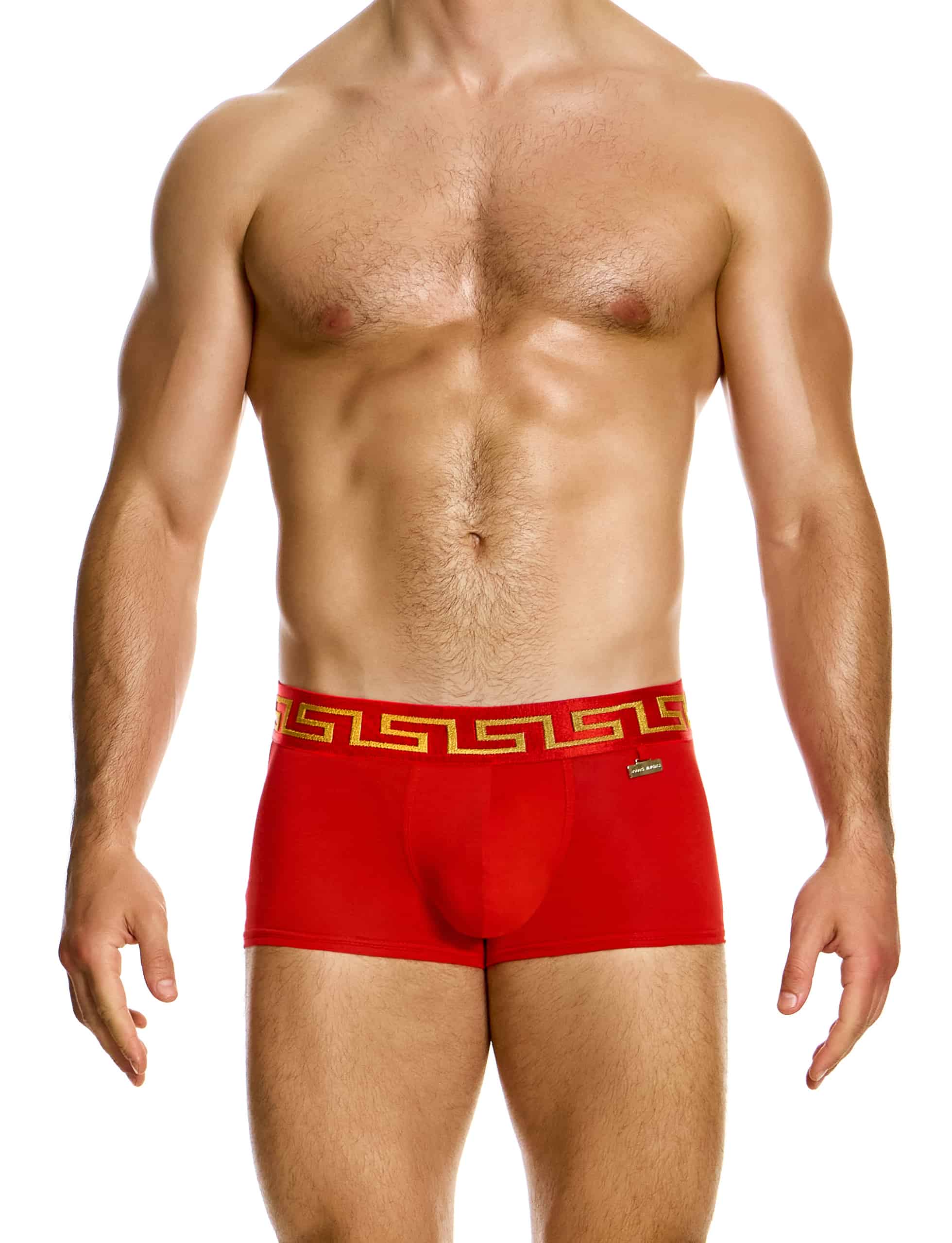 Modus Vivendi Meander Boxer. Made in Greece. Party wear. underwear party. Fetish gear. boxer briefs, trunks. pride wear. Red