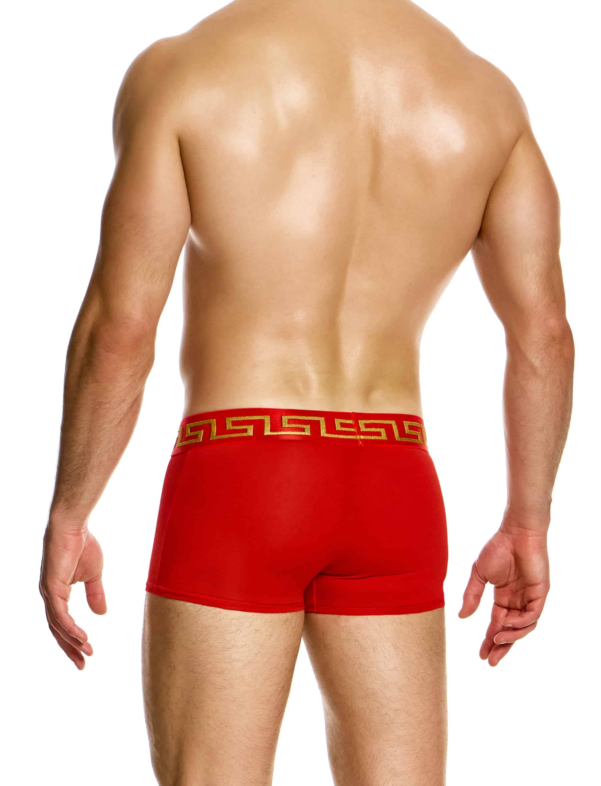 Modus Vivendi Meander Boxer. Made in Greece. Party wear. underwear party. Fetish gear. boxer briefs, trunks. pride wear. Red