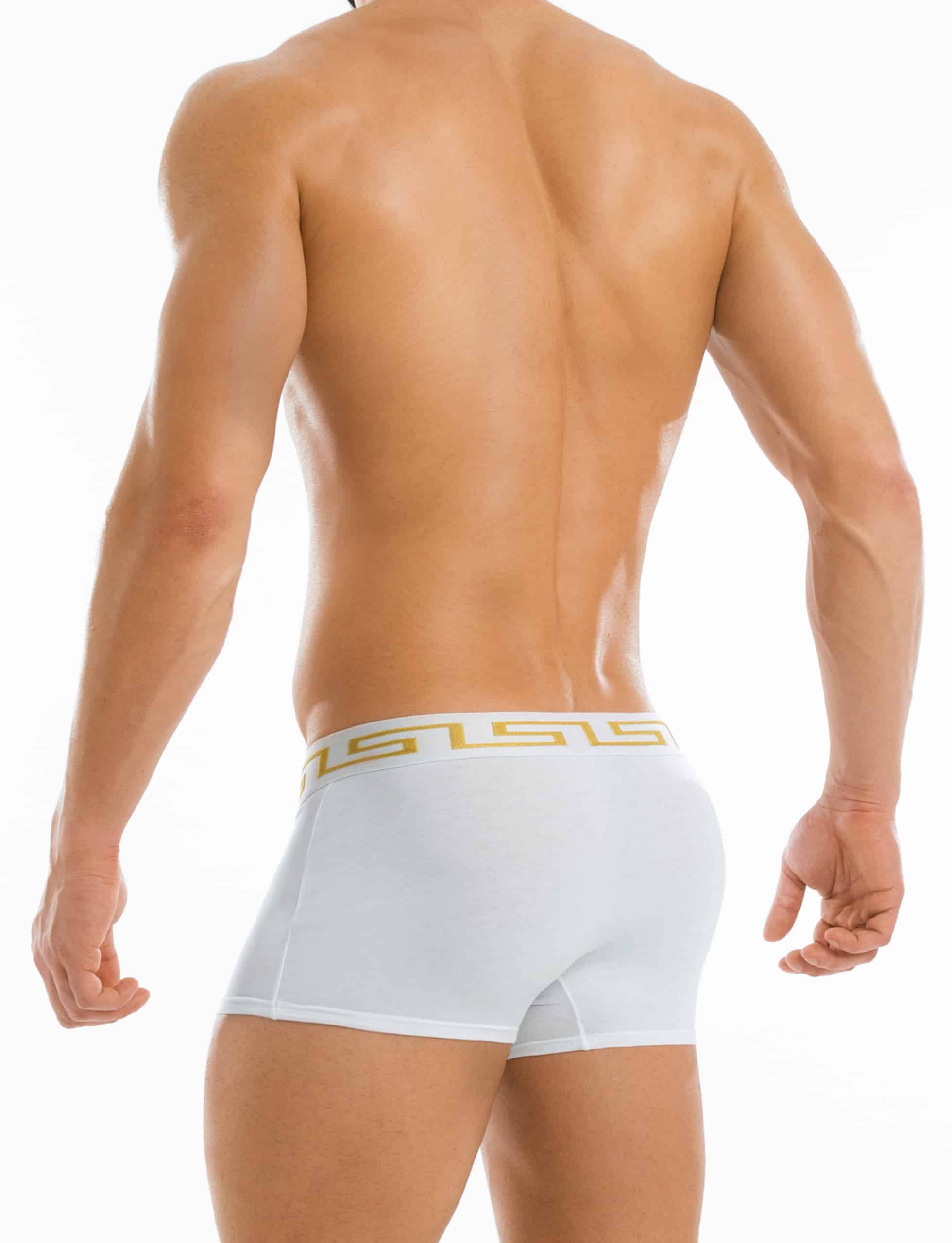 Modus Vivendi Meander Boxer. Made in Greece. Party wear. underwear party. Fetish gear. boxer briefs, trunks. pride wear. White
