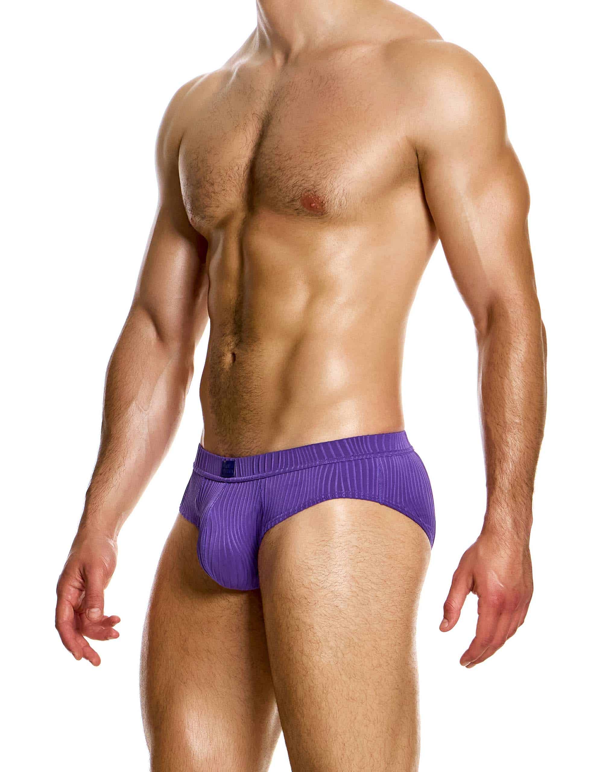 Modus Vivendi Curved Brief. Made in Greece. luxury comfort high quality. Party wear. underwear party wear. gay men shorts. Purple