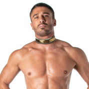 TOF Paris Star collar Gold. Made in France. Party wear. Fetish wear gay pride.