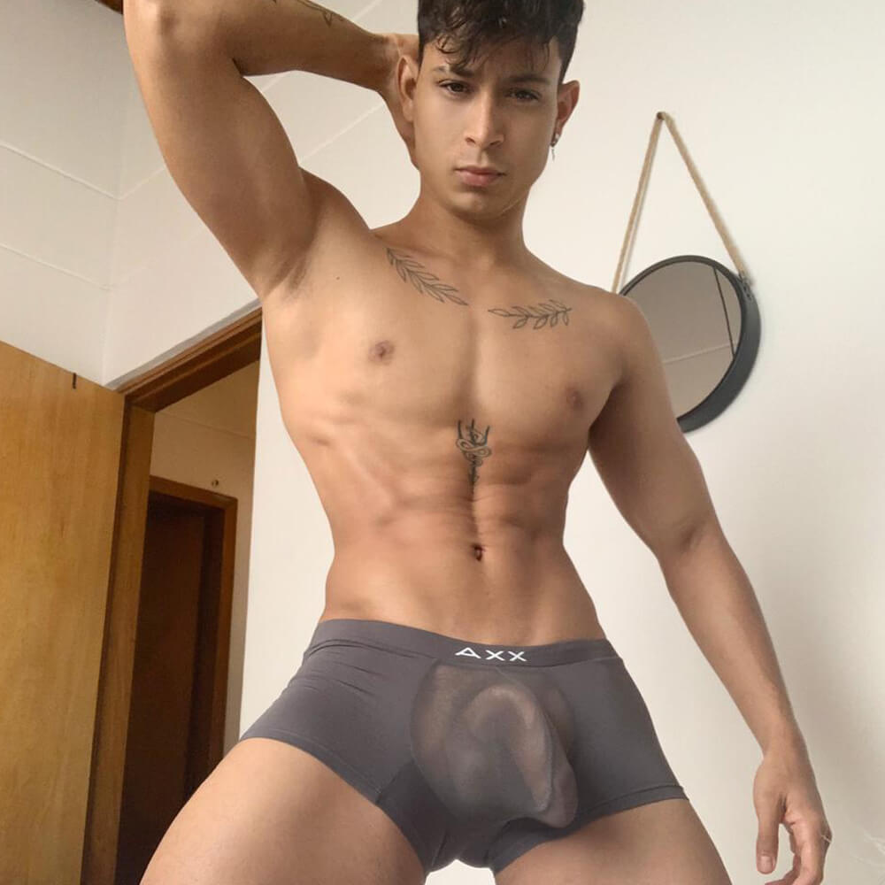Alexx Underwear Aggressive Leopard Trunk Grey