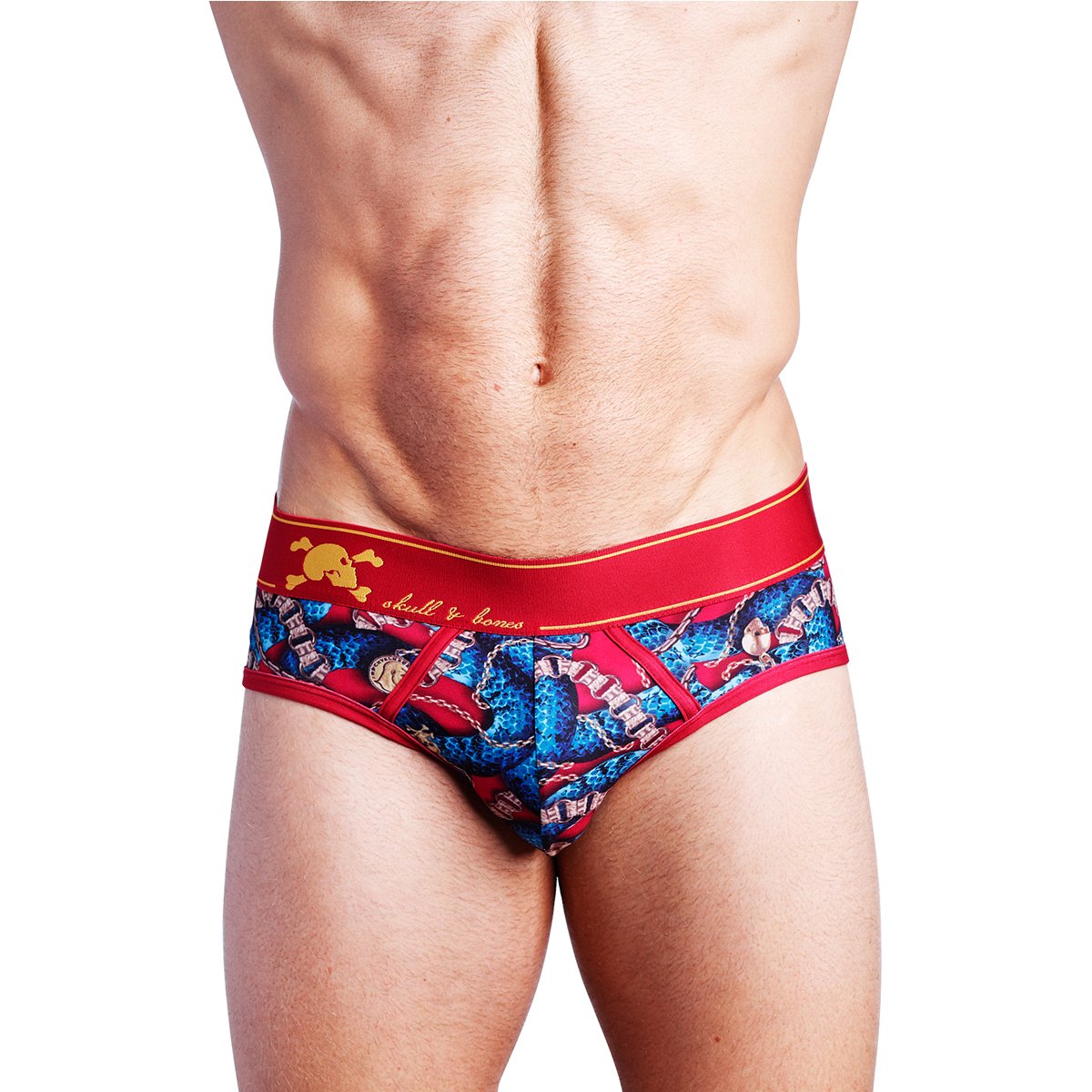 Skull & Bones Snake Chains & Charms Brief