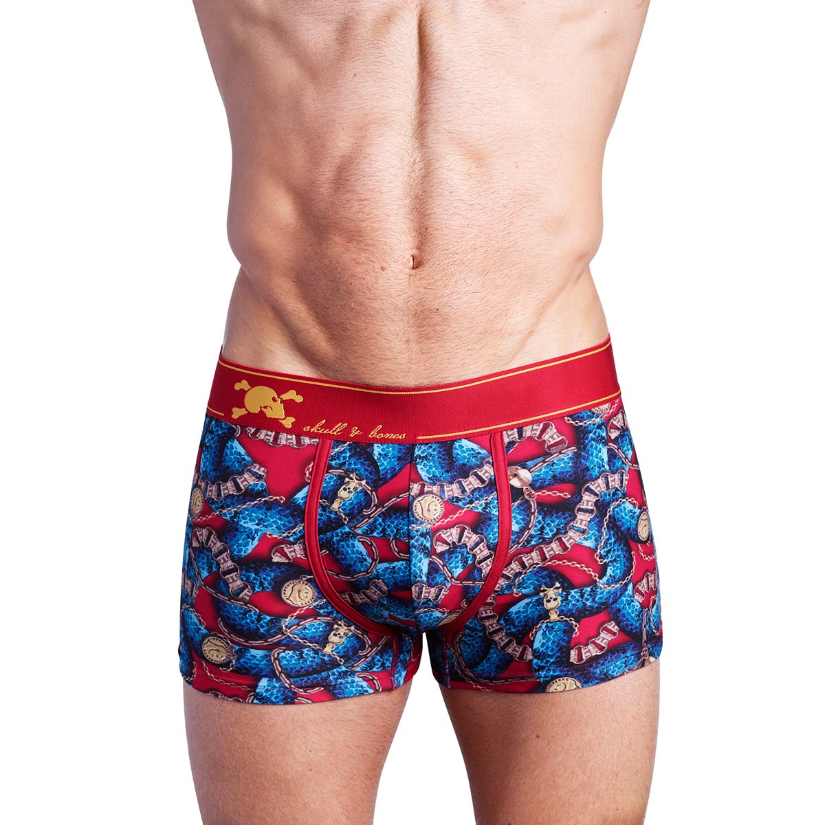 Skull & Bones Snake Chains & Charms Trunk