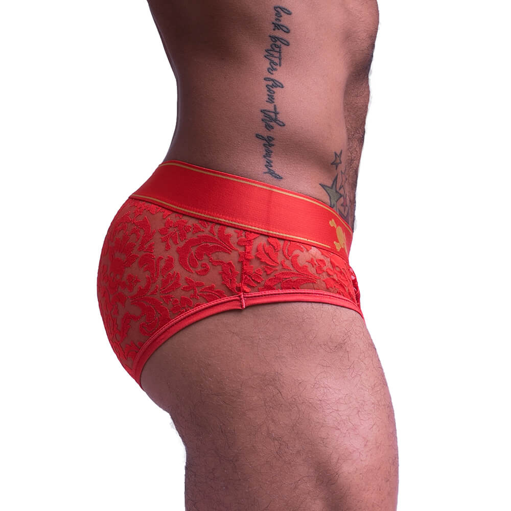 Skull & Bones Paisley Burnout Brief Red