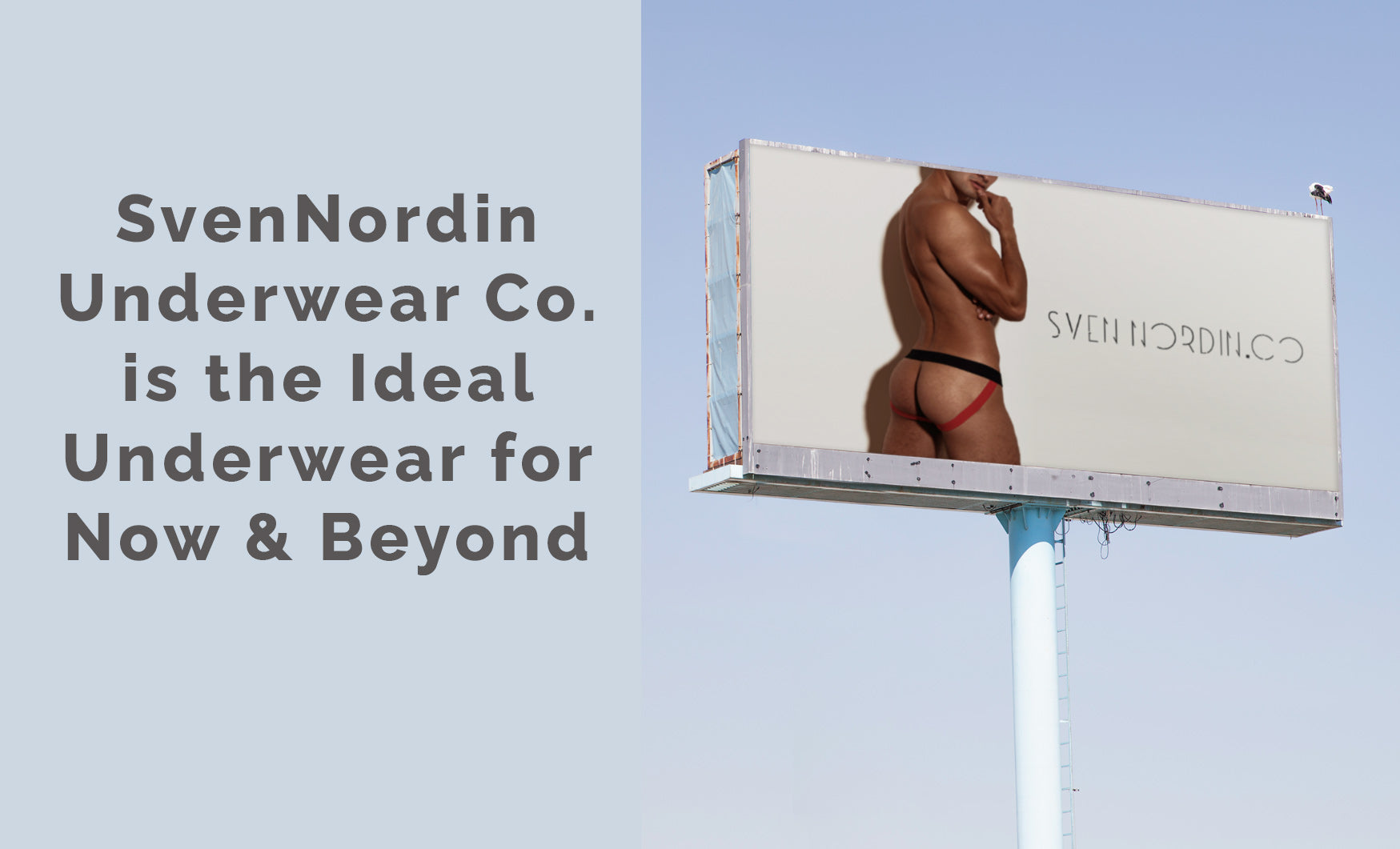 SvenNordin Underwear Co. is the Ideal Underwear for Now and Beyond