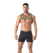 TOF Paris Rainbow Harness. made in france. wear with suspenders. Rainbow gay pride party wear fetish wear.