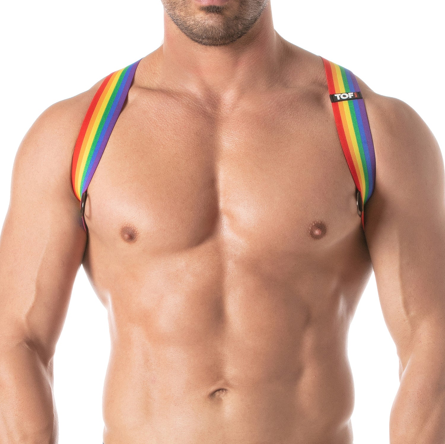 TOF Paris Rainbow Harness. made in france. wear with suspenders. Rainbow gay pride party wear fetish wear.