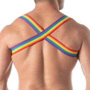 TOF Paris Rainbow Harness. made in france. wear with suspenders. Rainbow gay pride party wear fetish wear.