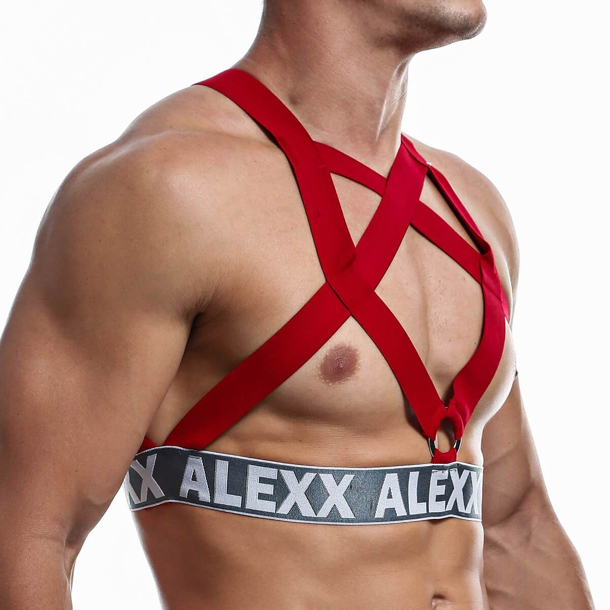 Alexx Underwear Harness Red