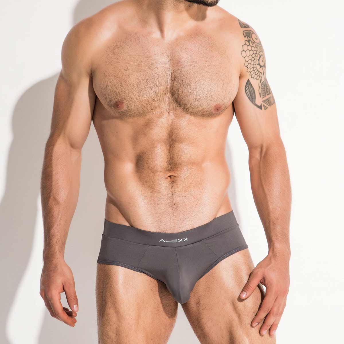 Alexx Underwear Handsome Brief Grey