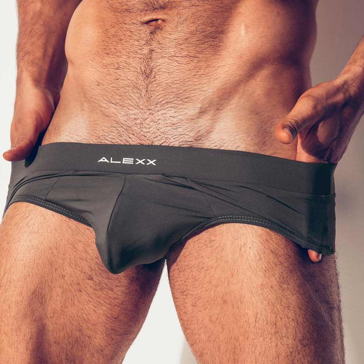 Alexx Underwear Handsome Brief Grey