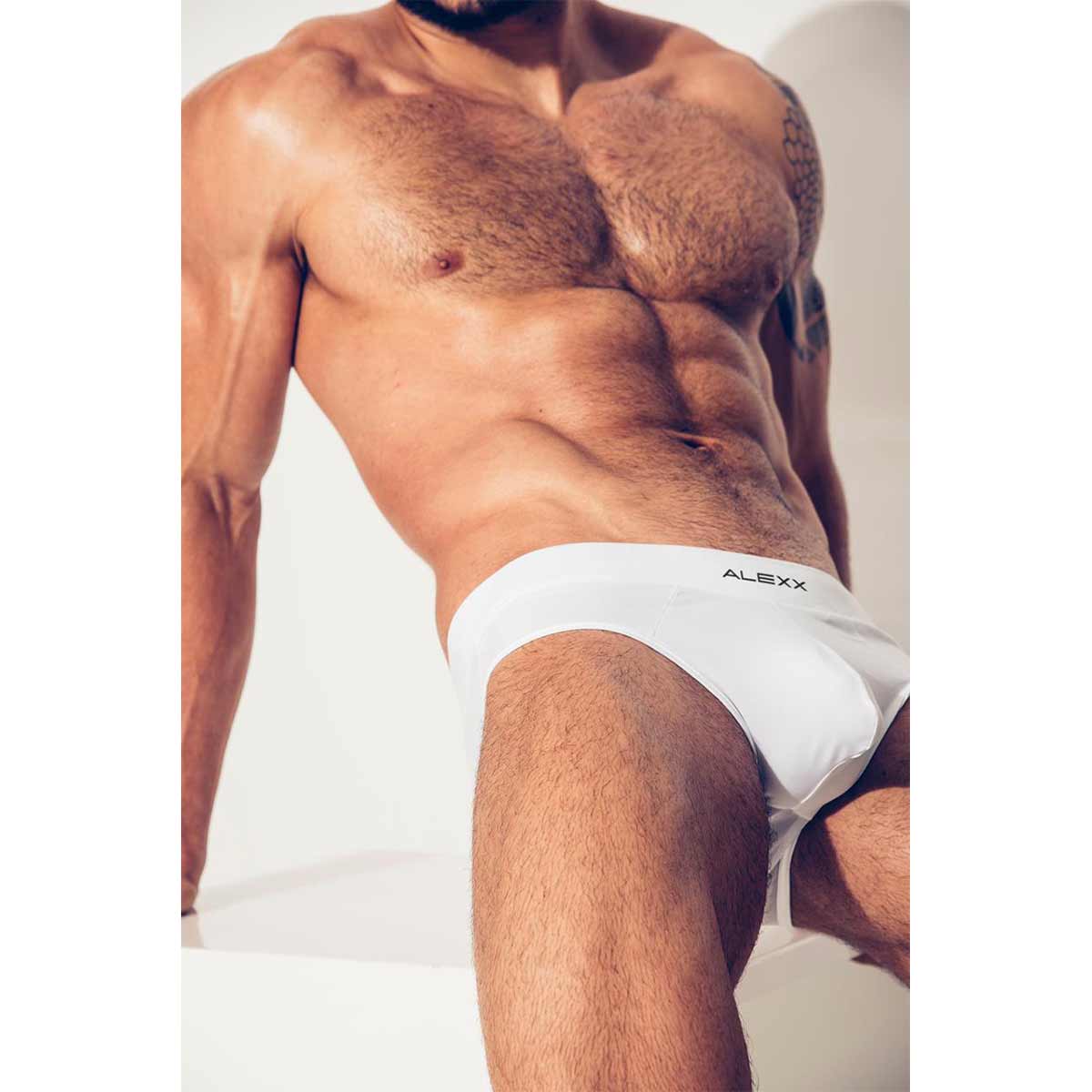 Alexx Underwear Handsome Brief White