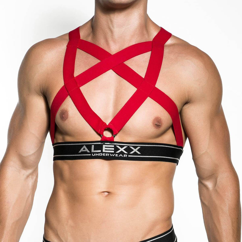 Alexx Underwear Party Harness Red