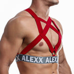 Alexx Underwear Harness Red